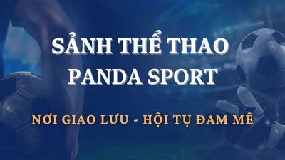 Panda Sports - Cá cược thể thao chuyên nghiệp, thú vị